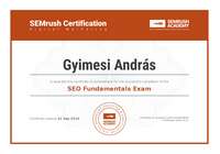 SEMrush Academy Certificate 1