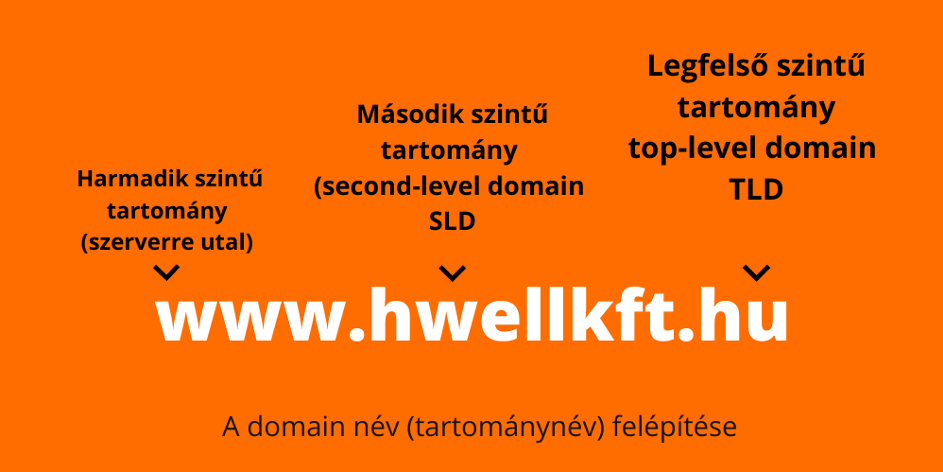 domain név