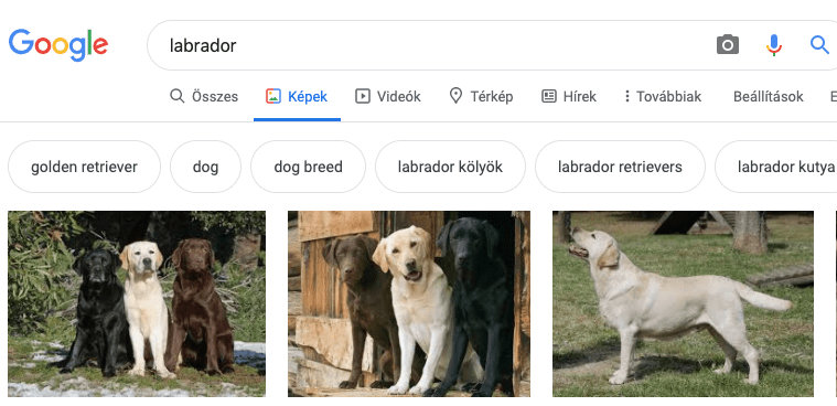 google képalapú keresés